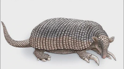 オライリーから「仕事ではじめる機械学習 第2版」を出版しました featured image