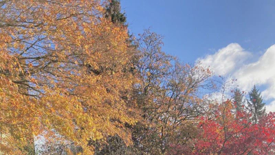 バンクーバーに移住して8か月が経った featured image